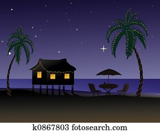 Tropical Christmas Tropical Christmas