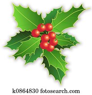 xmas, folhas, e, bagas