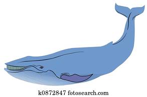 blue whale blue whale