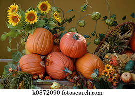 Harvest Harvest