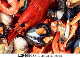 Shellfish Shellfish