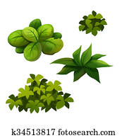 低木の植込み イラストギャラリー 125 低木の植込み アート Fotosearch