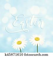 マーガレット 花 ストックイメージ K Fotosearch