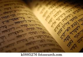 Bible Bible