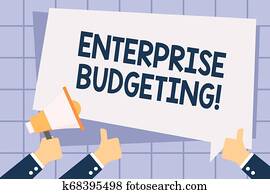 escrita, nota, mostrando, empresa, budgeting., negócio, foto, showcasing, avaliado, renda, e, despesas, associado, em, negócio, passe segurar, megafone, e, gesticule, polegares cima, texto, balloon.