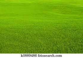 Golf Course Golf Course