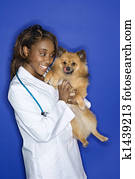Woman veterinarian holding dog.