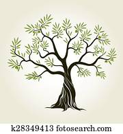 رسم غصن شجرة زيتون