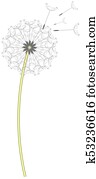 dandelion clock dandelion clock
