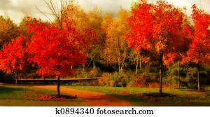 יפה, נפול צבע