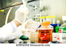 arbeitende, wissenschaftler arbeitende, wissenschaftler