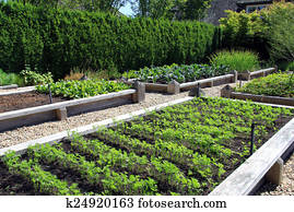 Vegetable garden Vegetable garden