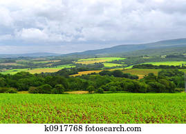 Agricultural landscape Agricultural landscape