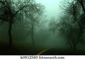 Dark Road Dark Road