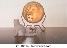 Kitten looks in the mirror and sees himself reflected like a lion. Self-confidence concept. Business or personal growth. Kitten looks in the mirror and sees himself reflected like a lion. Self-confidence concept. Business or personal growth.
