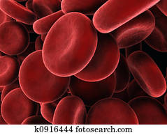 red blood cells red blood cells