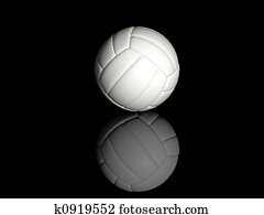 volleyball volleyball