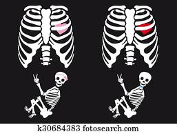 שלד, בחור של תינוק, ו, girl,, וקטור, קבע