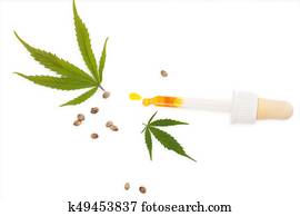 CBD, marijuana, oil.