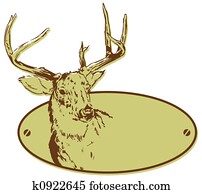 Deer Hunting Club Style Banner Illustration Deer Hunting Club Style Banner Illustration