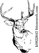 Deer Reindeer Illustration Deer Reindeer Illustration