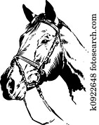 Horse Illustration Horse Illustration