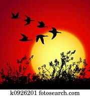 sunset landscape sunset landscape