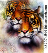 tiger collage on color abstract background and mandala with ornamet , wildlife animals. tiger collage on color abstract background and mandala with ornamet , wildlife animals.