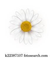 חיננית, פרוח