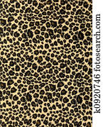 נמר מדפיס, מארג, טקסטורה