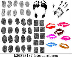 50 Body part vectors