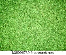 Lawn