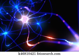 Neurons Electrical Pulses Neurons Electrical Pulses