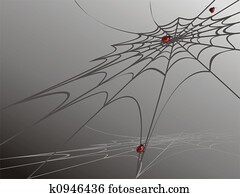 蜘蛛の巣 イラスト K Fotosearch
