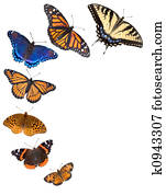 Butterfly border background Butterfly border background