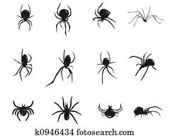 spider silhouette spider silhouette