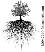 שורש, עץ