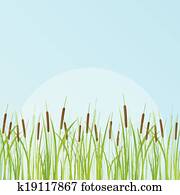 Cattail detailed illustration background Cattail detailed illustration background