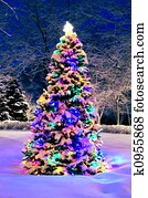 Christmas tree outside Christmas tree outside