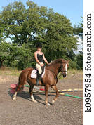 Female Horse Rider Female Horse Rider