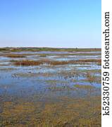 Marsh at a national wildlife refuge Marsh at a national wildlife refuge