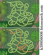 Rainforest maze Rainforest maze