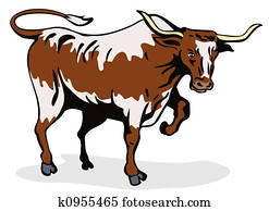 Texas long horn bull Texas long horn bull