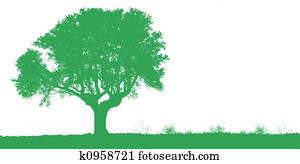 Tree Tree
