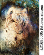 Wolf painting, color abstract effect on background Wolf painting, color abstract effect on background