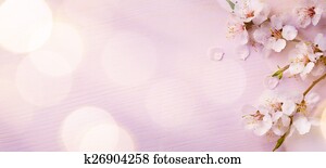 Art Spring border background with pink blossom Art Spring border background with pink blossom