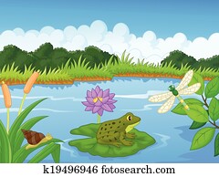 Cartoon a frog at the river Cartoon a frog at the river
