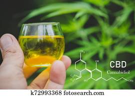 cbd hemp oil, formula CBD cannabidiol, doctor hand hold and offer to patient medical marijuana and oil., legal light drugs prescribe, alternative remedy or medication, medicine concept cbd hemp oil, formula CBD cannabidiol, doctor hand hold and offer to patient medical marijuana and oil., legal light drugs prescribe, alternative remedy or medication, medicine concept