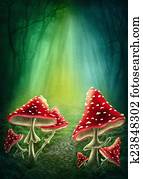 Enchanted dark forest Enchanted dark forest