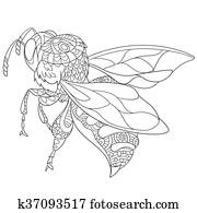Hand drawn stylized bee insect
